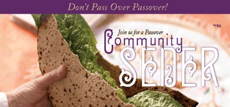 seder pic.gif
